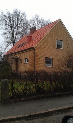 IMAG0118.jpg