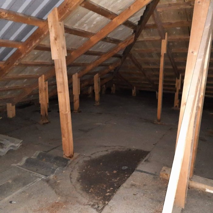 Innertak med trästolpar, reglar och råspont, mörk fläck vid stolpfot.