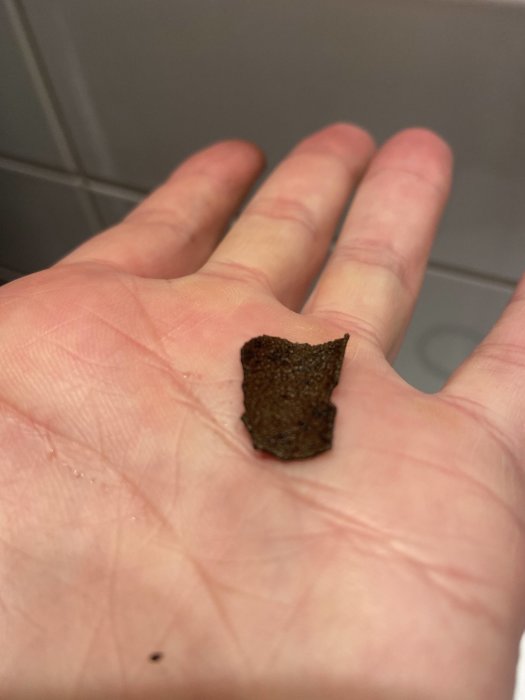 En bit smuts från ett bergvärmepumpsfilter liknande en chiliflake hålls i en hand.