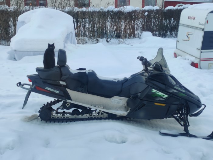 En svart katt sitter på en parkerad Arctic Cat snöskoter i ett snötäckt landskap.