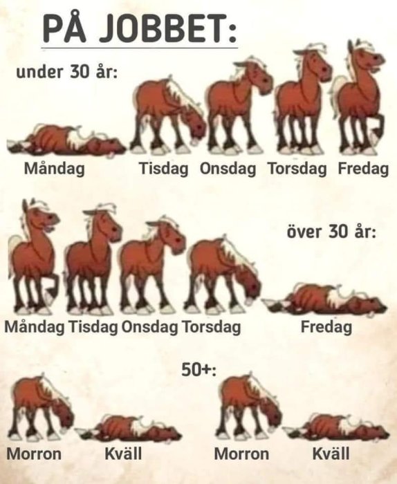 Illustration av hästar som representerar arbetsenergi för varje veckodag, baserat på åldersgrupper: under 30, över 30, och 50+.