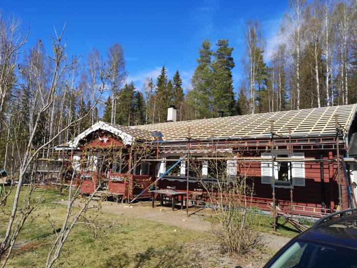 Röd stuga under takrenovering med ny läkt, omgiven av natur och ställning runt huset.