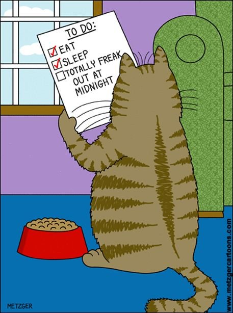 Tecknad katt läser en att-göra-lista med punkterna äta, sova, och bli helt tokig vid midnatt.