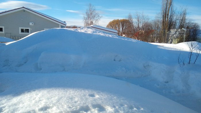 Tjocka lager av snö framför ett hus där fruktträd ska beskäras, med blå himmel i bakgrunden.