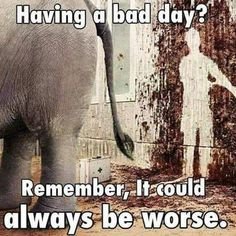 En elefant bakifrån vid en nedskalad vägg med texten "Having a bad day? Remember, It could always be worse.
