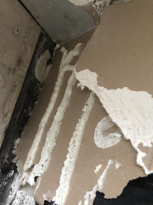 Rest av gammalt kakelfix och fogskum på gipsskiva under renovering.