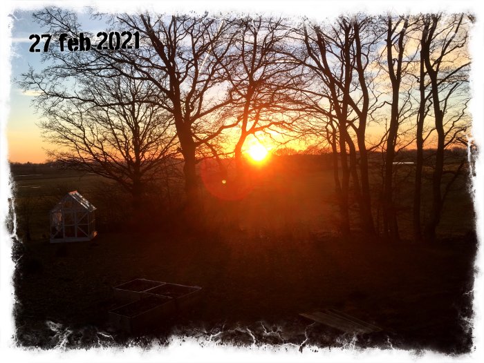 Solnedgång med nyanserad himmel iakttages bakom silhuetter av träd, med växthus i förgrunden. Datumet "27 feb 2021" syns.