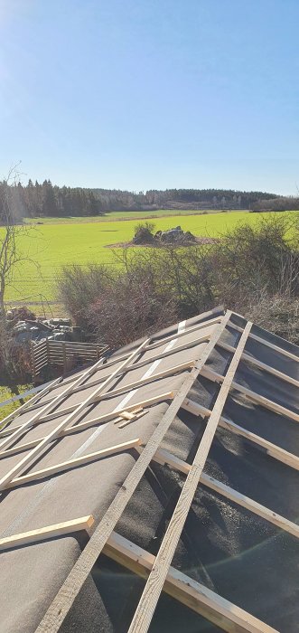 Pågående bygge av ett trä-takstomme med underlagstak och skog bakgrund.