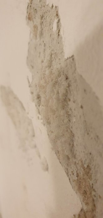 Skadad källarvägg med vit luddig beläggning där färg börjat lossna efter snösmältning.