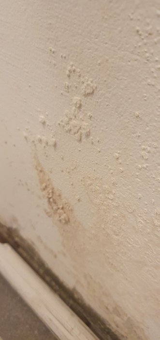 Yttervägg med flagande färg och vitt ludd som indikerar fukt- eller mögelproblem.