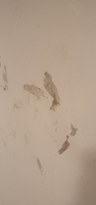 Vägg med flagnande silikatfärg och synligt vitt ludd efter snösmältning.