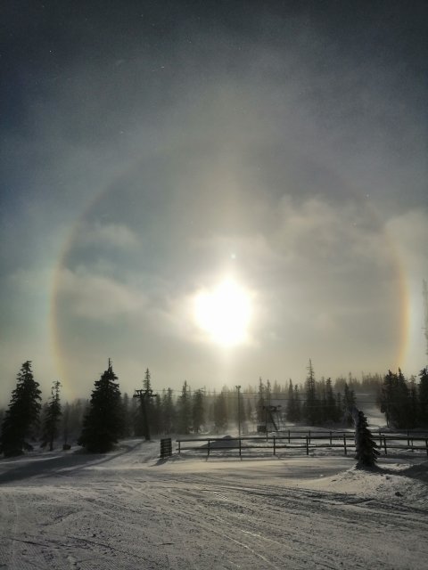 Vinterlandskap i Klövsjö/Vemdalen med solhalo och snötäckta träd och backar.