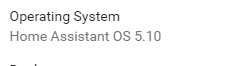 Skärmdump som visar Home Assistant operativsystemets version OS 5.10