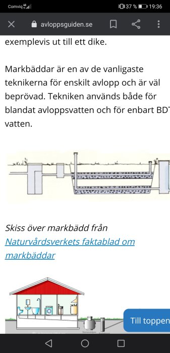 Schematisk illustration av en enskilt avloppsanläggning med markbädd, slamavskiljare och reningstank.