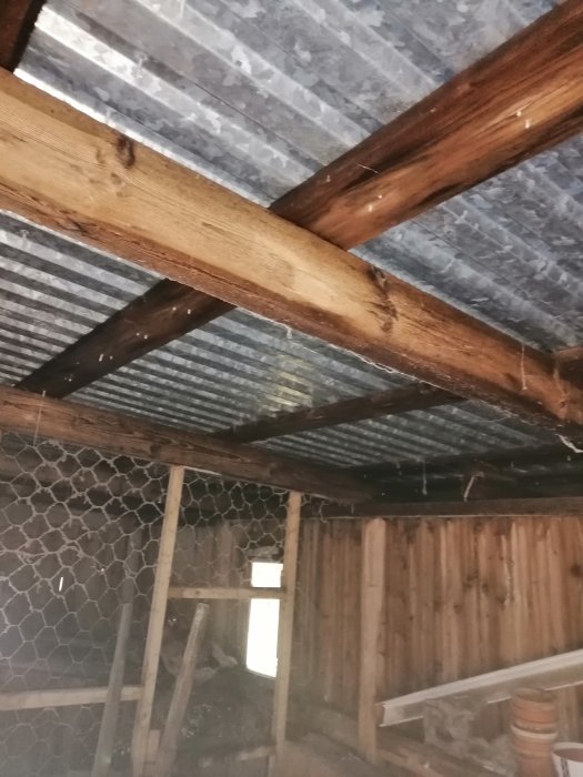 Vy underifrån av ett plåttak med träbjälkar och kycklingnät i ett oinrett utrymme.