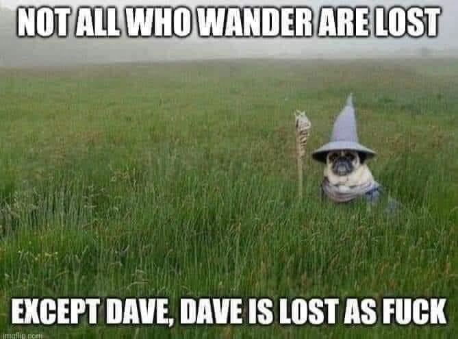 Hund utklädd till trollkarl med texten "Not all who wander are lost except Dave, Dave is lost as fuck