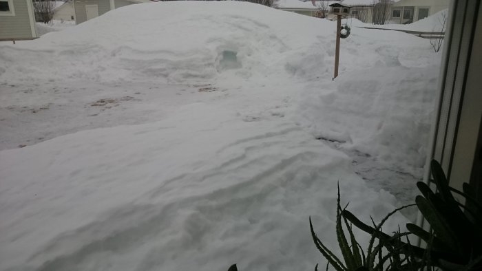 Snötäckt trädgård med synliga gångstigar och en snöiglö igloo-liknande struktur.