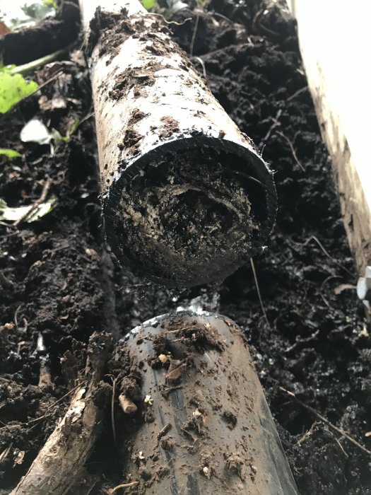 Gamla avloppsrör i marken delvis fyllda med jord och rötter, indikerar pågående grävarbete.