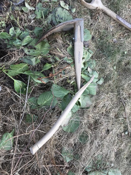 Yxa och spade ligger på marken med torrt gräs och gröna blad under grävarbete.