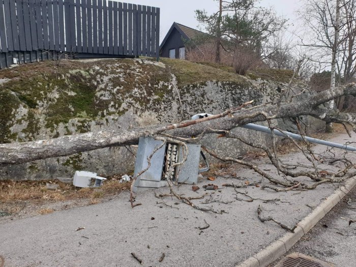 Fallen trädgren över gatubelysning och väg med bakgrund av staket och berg.