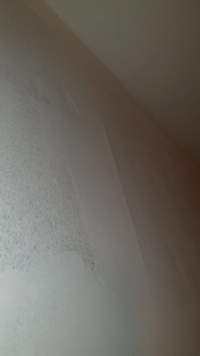 20210307_202053.jpg