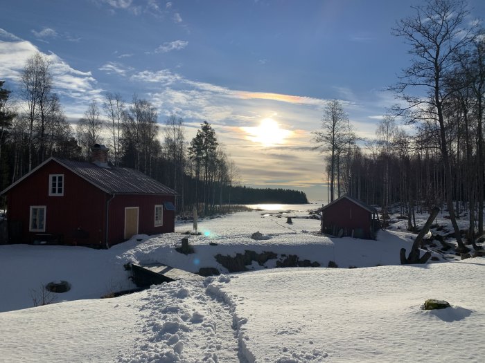 Solnedgång vid ett snöigt norrländskt torp med rött hus, sjöutsikt och kala träd.