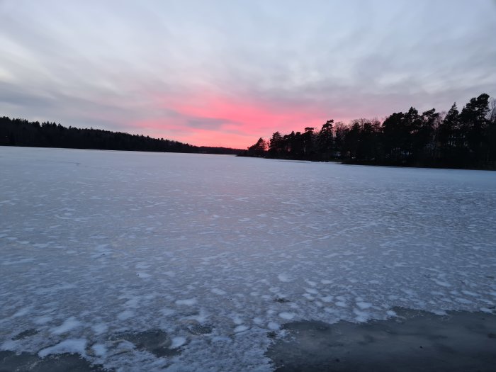 Solnedgång med rosa himmel synlig över en frusen isbelagd sjö med skog i bakgrunden.