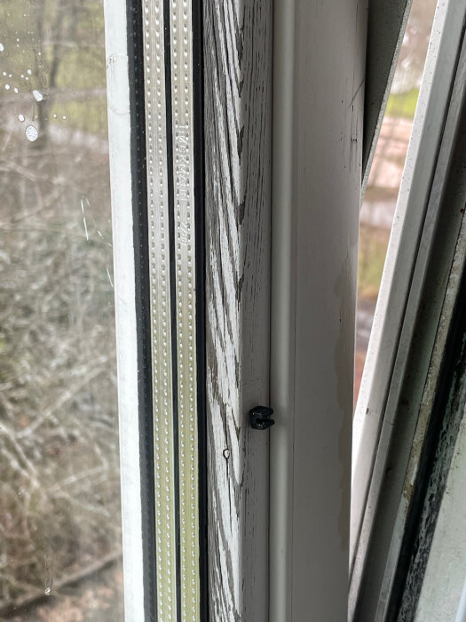 Ett fönster med sliten och flagande vit färg på nedre trädetaljer mot en suddig utomhusbakgrund.
