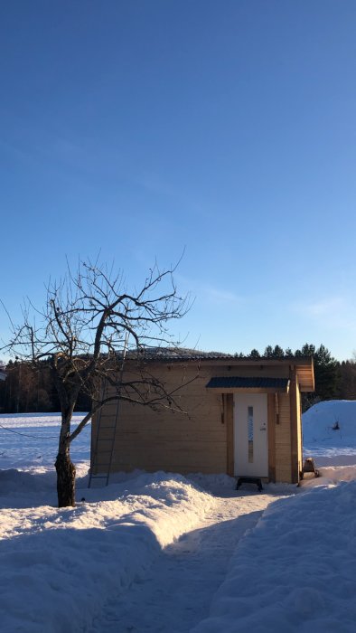 En liten vedeldad bastu byggd av trämaterial, belägen i ett snötäckt landskap under klarblå himmel.