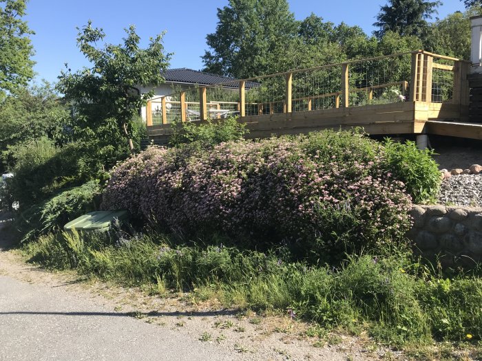 Trädäck vid hus med blommande buskar och Cortenstål-rabattkanter nära en gata.