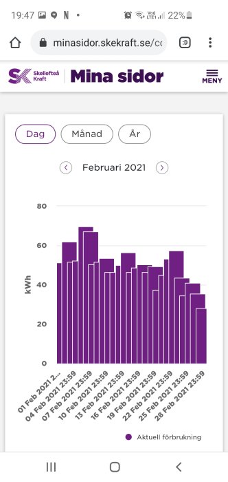Histogram över daglig elförbrukning i kWh för februari 2021 på en mobilskärm.
