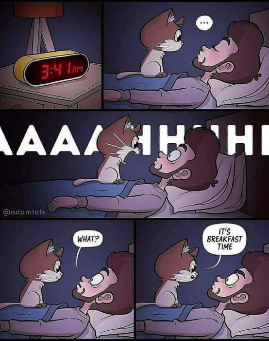 Fyrpanelserie visar en katt som väcker sin sovande ägare vid 3:14 på morgonen för att det är dags för frukost.