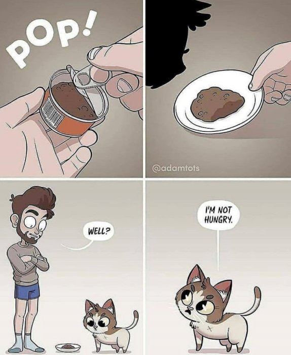 Illustrerad serieruta där en person öppnar kattmat och serverar den, medan katten avböjer maten.