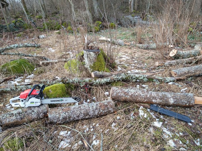 Motorsåg Greencut GS620X på ett nedfallna träd i en skogsmiljö med lätt snötäcke.