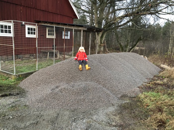 Barn sitter på en hög av makadam nära ett rött uthus och ett staket.