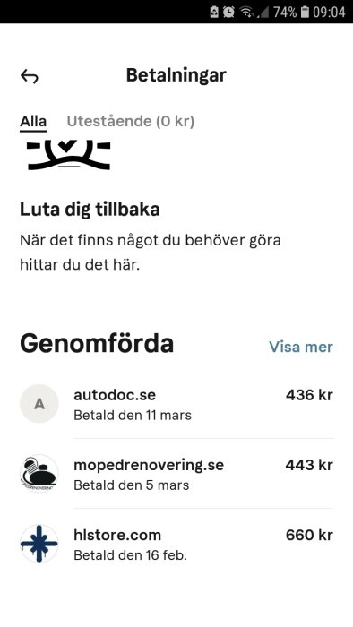 Skärmdump av en betalningsöversikt med genomförda transaktioner till olika handlare.