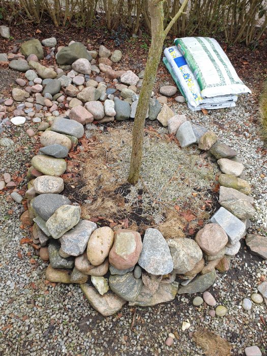 Löst lagda stenar bildar två små stenrabatter runt ett träd i en trädgård, med grus och säckar i bakgrunden.