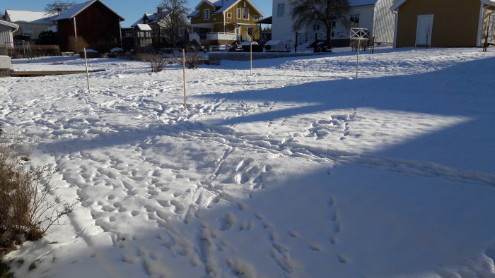 Tom byggtomt täckt av snö med utmärkta gränser och fotspår, med hus i bakgrunden.