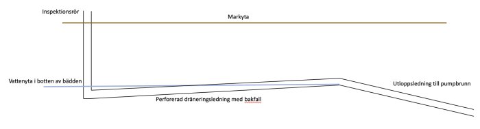 Schematisk illustration av marknivå med inspektionsrör, vattennivå, felaktigt bakfall på perforerad dräneringsledning och utloppsledning.