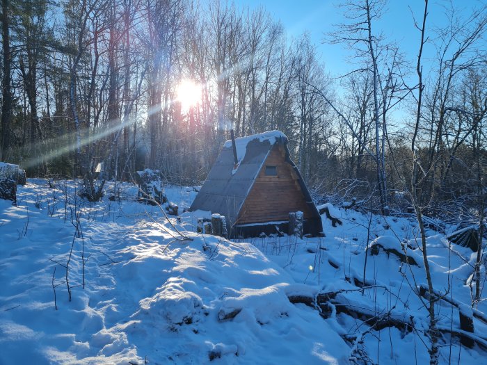 En liten stuga i ett vinterlandskap täckt av snö med solen som strålar genom träden.