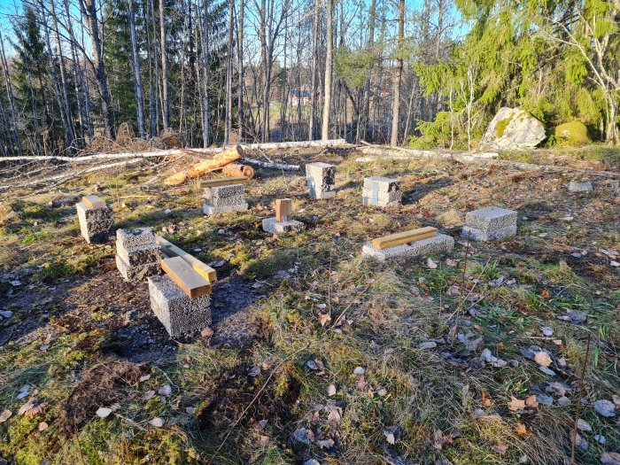 Grundstommen till en byggnad med träreglar monterade på betongplintar i en skogsglänta.