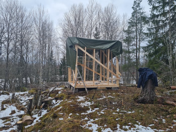 Stomme till byggprojekt i skogen med nästan färdigställt tak och presenning som skydd.