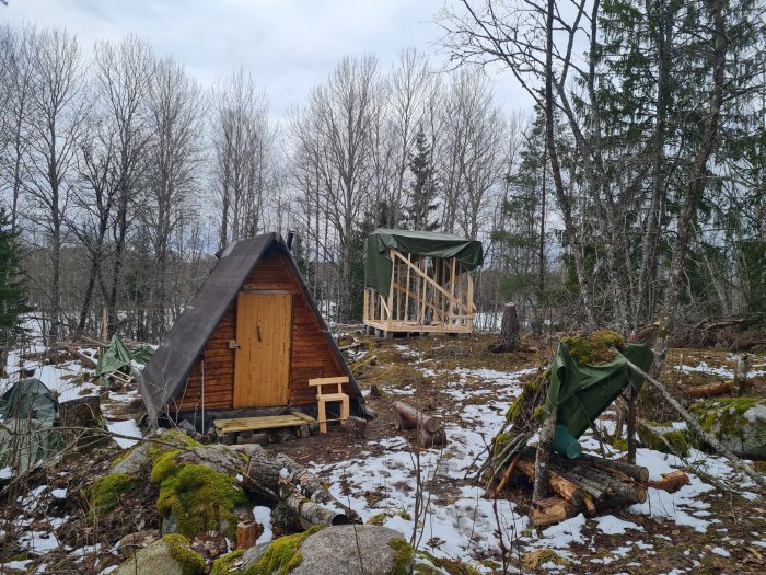 Nästan färdigställd trähustomme i skogsmiljö med befintligt litet träskjul i förgrunden.