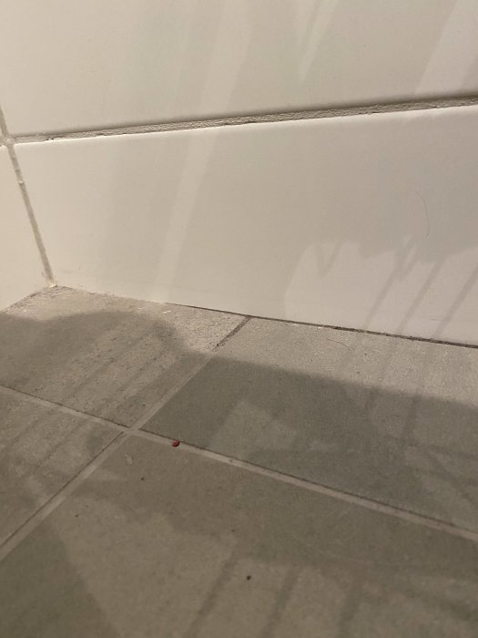 Våt fog under handfat med mörkare färg som indikerar vattenläckage i badrum.