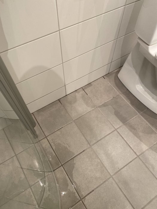 Vattenläckage på ett badrumsgolv med klinkers bredvid en vit toalettstol.