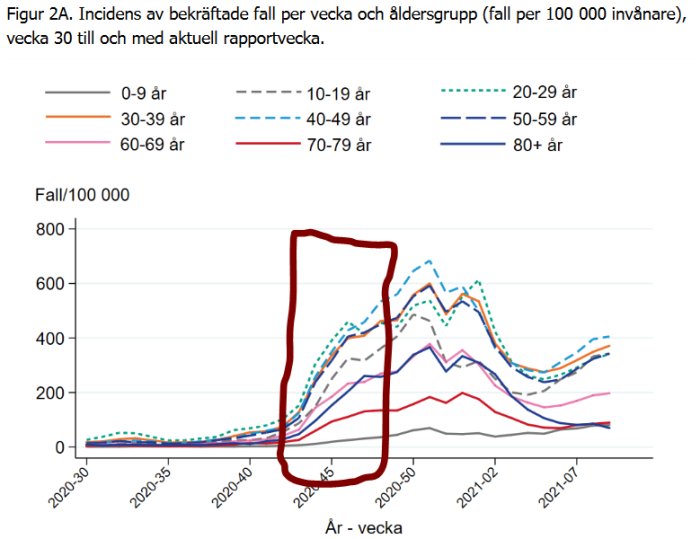 Graf över incidens av bekräftade COVID-19-fall per åldersgrupp, med fokus markerat på ökning under en period.