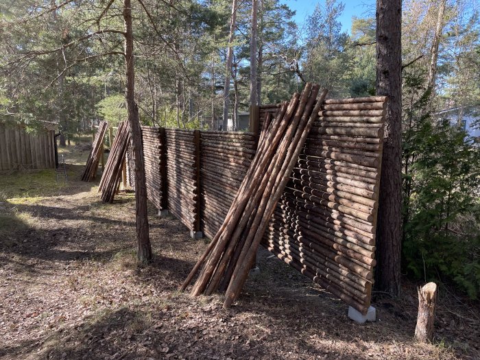 Trästaketsektioner staplade mot träd i skogsmiljö, redo för montage i staketprojekt.