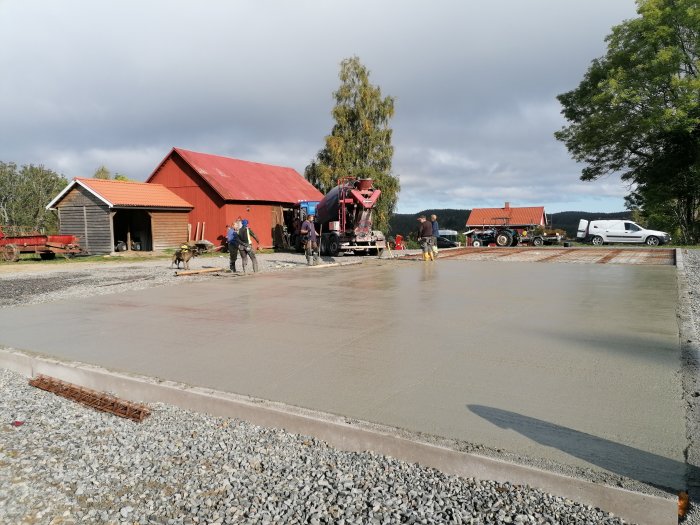 Nyutgjuten betongplatta för ladugårdsbygge med arbetare och maskiner på en bondgård.