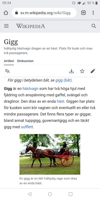 Häst drar en röd gigg med höga hjul och kusk på en träbänk på en grön äng.