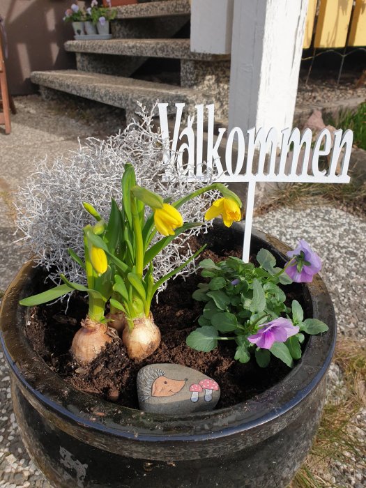 En blomkruka med gula vårblommor, silverfärgad växt, lila blommor och en sten målad med en igelkott och svamp. Skylt med texten 'Välkommen'.